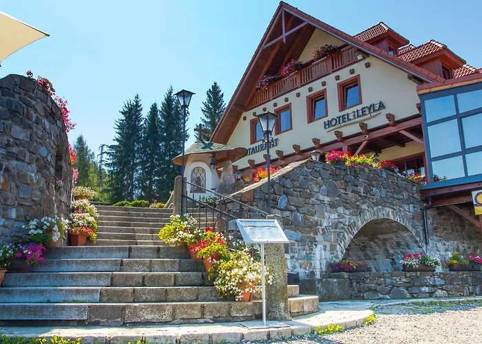Leyla 3* Frymburk